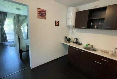 Aleasa Pensiune, pe 1.400 mp teren, in curcubeu montan, Bran - Poarta, Brasov - 46