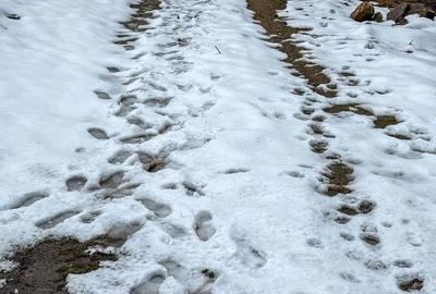 Spațiu comercial, în Rășinari - 5