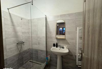 Garsonieră semidecomandată, mobilată în P-ța Reșița - 4