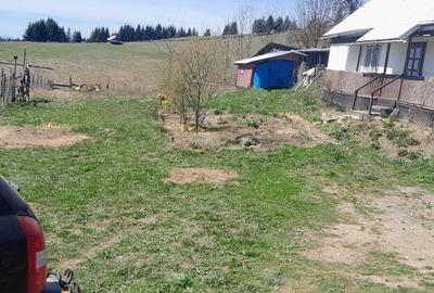 Casă individuală cu 3 camere cu Teren 3892 Mp în Dorna Candrenilor - 2