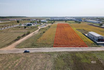 Teren Intravilan - Branesti - Investitie Pentru Hale Industriale - Vanzare - 2