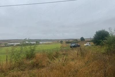 Vanzare 10.000 mp teren Liteni Suceava- la strada -potrivit proiect fonduri - 3