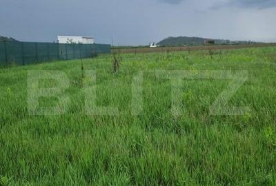 Teren pentru casa intravilan , 800 mp deschidere la drum Bod - 6