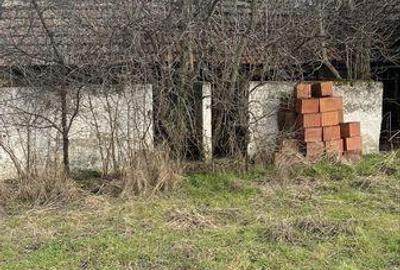 Teren de 8934 mp, în Foeni - 3