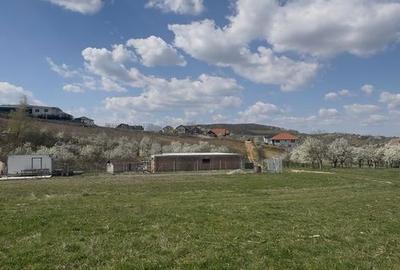 Teren de 2200 mp, în Nord-Est - 1