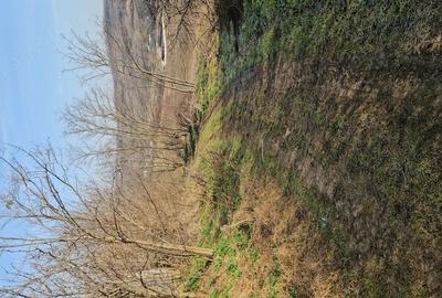 Teren de 3600 mp, în Lipovăț - 6
