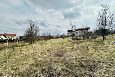 Spațiu comercial, în Europa - 4