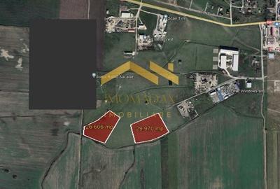 Sacalaz-Zona Industrială II-Disponibilitate Imediata - 2