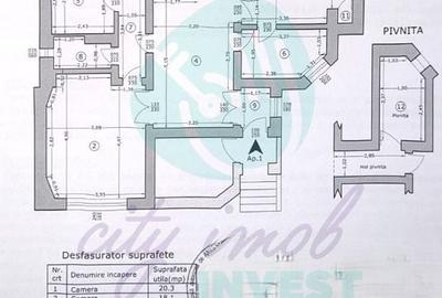 Apartament in vila boiereasca la 5 minute de Parcul Cismigiu - 5