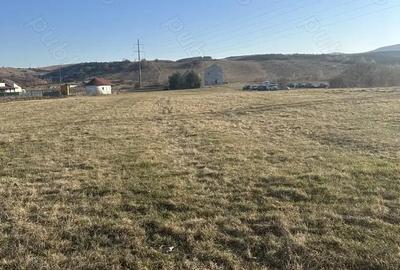 Teren de 1200 mp, în Sava - 4