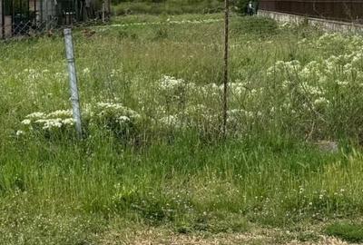 Casă cu 8 camere cu Teren 1000 Mp în Cetate - 6