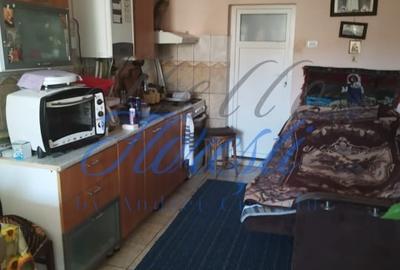 Casa individuala , cu 477 mp Dambu Rotund , Cluj - 20