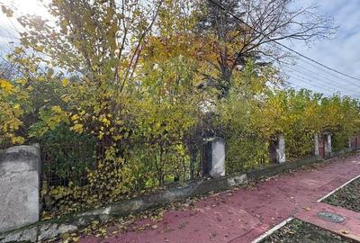 Teren de vanzare in Valu lui Traian, Calea Dobrogei - 2