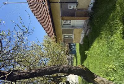 Casă cu 6 camere în Toplița - 6