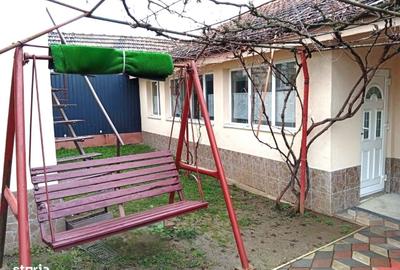 Casă cu 6 camere cu Teren 2880 Mp în Șagu - 4