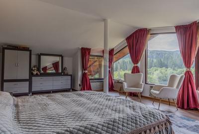 Casa de vacanta sau investitie turistica in Gresu - langa Lepsa - 21