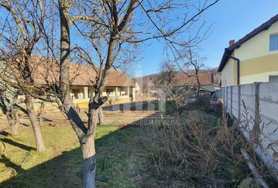 Teren Construcții intravilan de 3500 mp, în Ciugud - 2