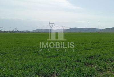 Teren agricol extravilan de 44356 mp, în Exterior Vest - 5