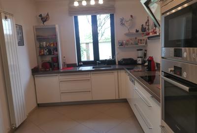 Casa/vila P+1+M , STEFANESTI, teren 749 mp, finisaje superioare, mobilata - 17