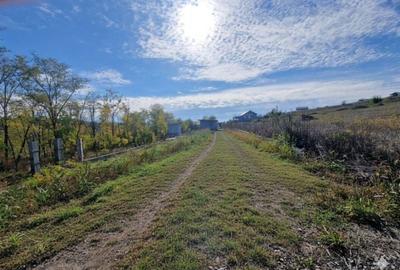 Casă cu 2 camere în Smârdan - 1