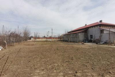 Casa cu teren 2440mp + Magazin alimentar De vanzare!! - 3