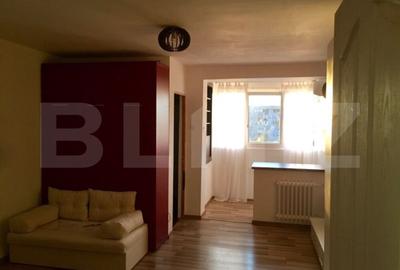 Garsonieră semidecomandată, mobilată în Brazda lui Novac - 3