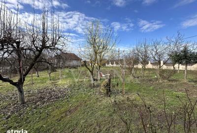 Casă cu 6 camere cu Teren 1650 Mp în Central - 4
