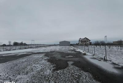 Spațiu comercial, de 300 mp, în Baia - 12