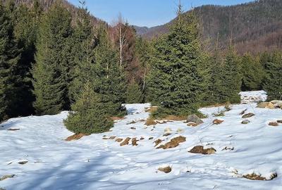 Teren de 300 mp, în Râu de Mori - 4