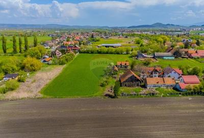 Teren intravilan, 13000 mp, Stupini - 3