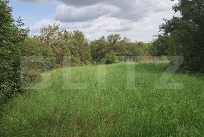 Teren Intravilan 2861 Mp Zona Tureni - 1