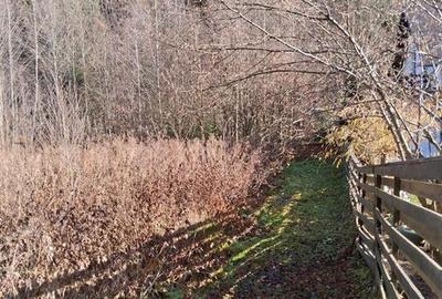 Teren intravilan de 693 mp, în Tarcău - 2