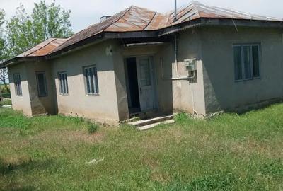 Casă cu 3 camere cu Teren 2500 Mp în Moșești - 4