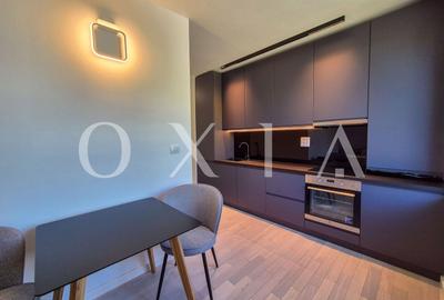 AX1068 Dumbravita, Bulevardul Petre Tutea, Prima Inchiriere - 12