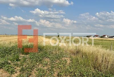 COMISION 0% Teren intravilan pentru case/duplexuri -  610 mp - Sanandrei - 4