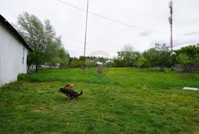 Teren Construcții intravilan de 10941 mp, în Sud-Est - 13