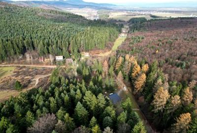 Teren intravilan 2000 mp în Vulcan BV – Oază de liniște între pădure și lacuri - 4