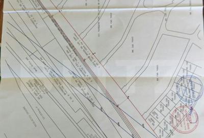 Teren extravilan 17524 mp, expunere sudica, Viforata - 23