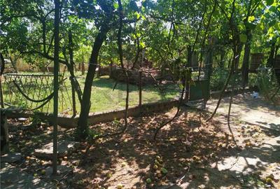 Casă cu 3 camere cu Teren 2268 Mp în Talpoș - 11