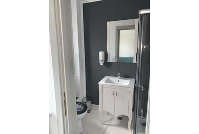 Casă individuală cu 5 camere cu Canalizare în Bucureștii Noi - 10