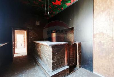 Vanzare Vila Interbelica Stradala, Pta Regina Maria, Ocazie Investitie - 25