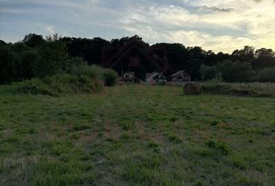 TEREN INTRAVILAN\699 mp, 45€ mp\ CARANSEBEȘ\ ZONA TEIUȘ - 7