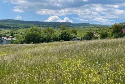 Teren de 634 mp, în Sopor - 7
