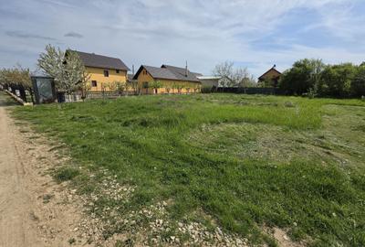Teren de 700 mp, în Ghirdoveni - 2