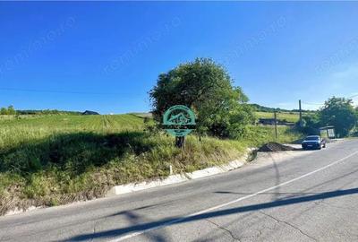 Vand teren intravilan in Sanisor cu suprafata de 4946 mp - 2