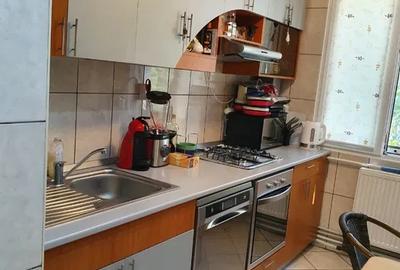 Apartament cu 3 camere semidecomandat, mobilat în Ozana - 6