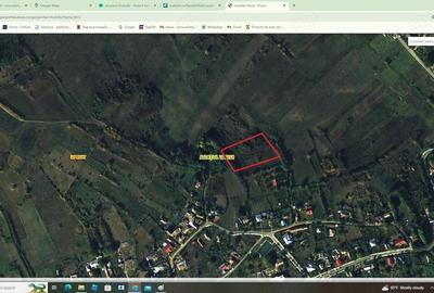 Teren de 3600 mp, în Lipovăț - 7