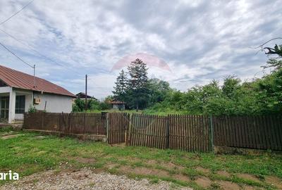 Teren de 2038 mp, în Snagov - 6