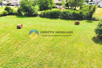 Teren Construcții intravilan de 1657 mp, în Stejaru (Pângărați) - 3