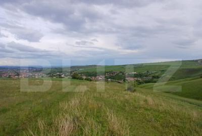 Teren extravilan 1249 mp in Copaceni! Oportunitate investiti - 2